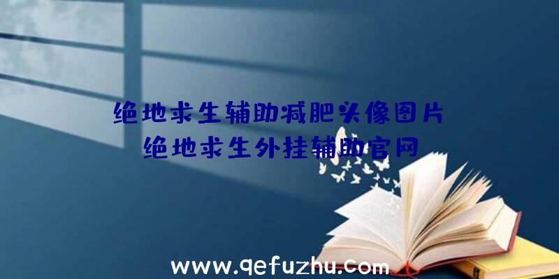 「绝地求生辅助减肥头像图片」|绝地求生外挂辅助官网